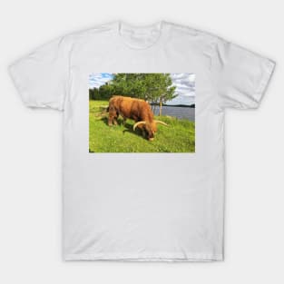 Scottish Highland Cattle Bull 1787 T-Shirt